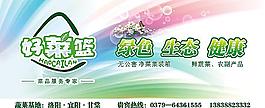 蔬菜形象圖片