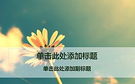 向日葵ppt背景