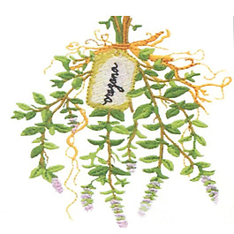 繡花 植物 花卉 花朵 英文 免費素材