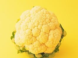 菜花圖片