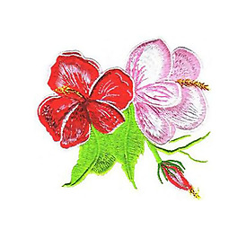 繡花 植物 花卉 花朵 免費素材