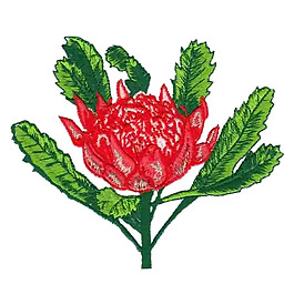 繡花 花卉 花朵 免費素材