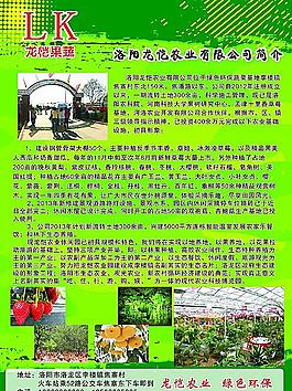 蔬菜宣傳頁(yè)圖片