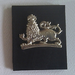 貼牌 獅子 免費(fèi)素材