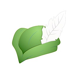 罗宾汉的帽子矢量