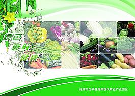 蔬菜基地 蔬菜海報圖片