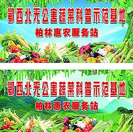 蔬菜廣告圖片