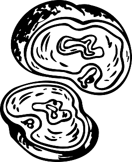切開的火腿