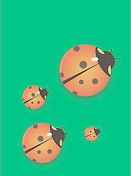 七星瓢蟲圖片