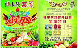 蔬菜宣傳單圖片