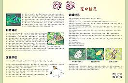 蝴蝶百科圖片