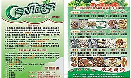 有機(jī)蔬菜批發(fā)宣傳單頁圖片