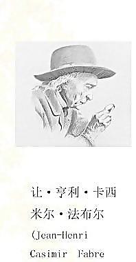 勒口圖片