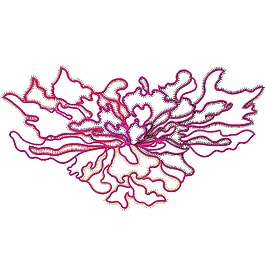 繡花 花紋 花朵 免費素材