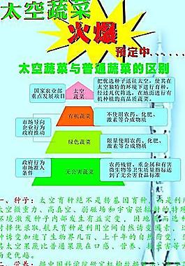 中航太空蔬菜區(qū)別普通蔬菜圖片