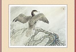 老鷹 工筆畫圖片