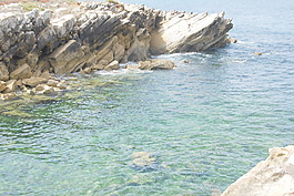 美丽的湖绿色的海水