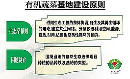 有機蔬菜建設原則圖片