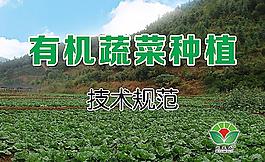 有機蔬菜種植技術規范圖片