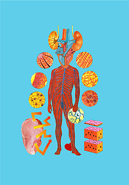 位圖 插畫 插畫師 Ismael Fino 免費素材