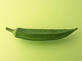 黃葵花圖片