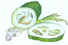 南瓜蔬菜圖片