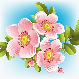 印花矢量圖 植物 花卉 花朵 色彩 免費素材