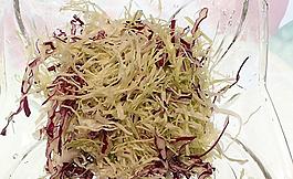 蔬菜沙拉图片