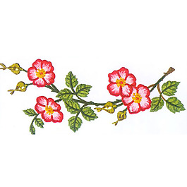 繡花 花朵 樹葉 樹枝 免費(fèi)素材