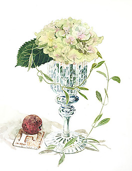 位圖 植物插畫 植物插畫師 柘植彩子 藝術(shù)效果 免費(fèi)素材