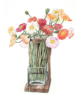 位圖 植物插畫 植物插畫師 柘植彩子 藝術(shù)效果 免費(fèi)素材
