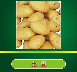 土豆圖片