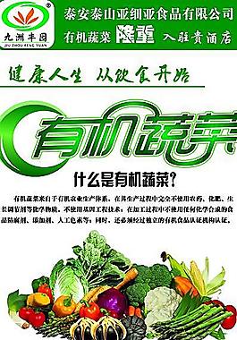 有机蔬菜展架图片
