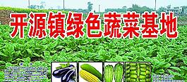蔬菜基地圖片