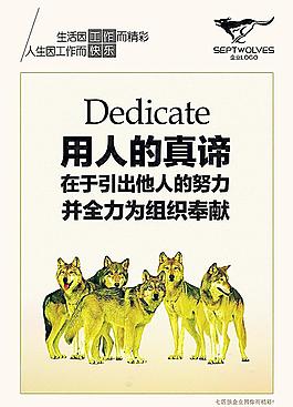 企业文化狼人事文化图片