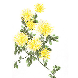 繡花 植物 花朵 樹葉 免費(fèi)素材