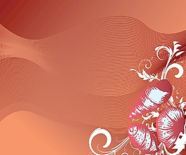 摘要背景花