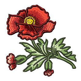 繡花 植物 花朵 樹葉 免費素材