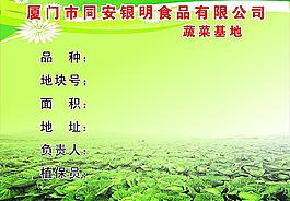 蔬菜基地圖片
