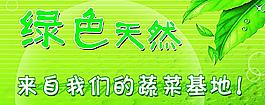 蔬菜基地圖片