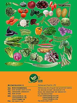 蔬菜宣傳單圖片