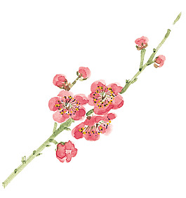 位圖 植物 花朵 梅花 樹枝 免費素材