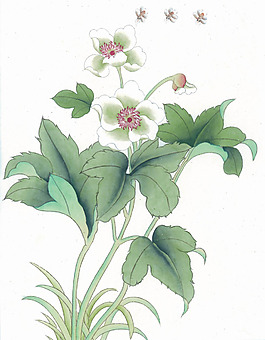 位圖 植物 花朵 樹(shù)葉 水彩 免費(fèi)素材