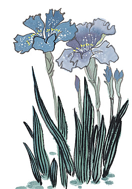 位圖 植物 花朵 水彩 色彩 免費(fèi)素材