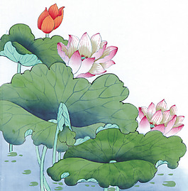 位圖 植物 荷花 荷葉 水彩 免費(fèi)素材