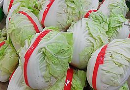 大洋菜圖片