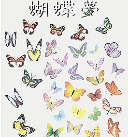 蝴蝶夢圖片