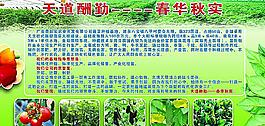 春華秋實圖片