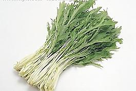 新鮮蔬菜圖片