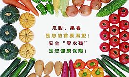 疏菜 黄瓜图片